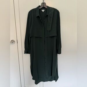 Cuyana green silk button down dress